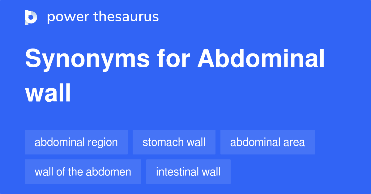 abdominal-wall-synonyms-7-words-and-phrases-for-abdominal-wall