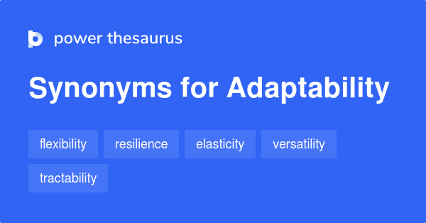 Flexible And Adaptable Synonyms