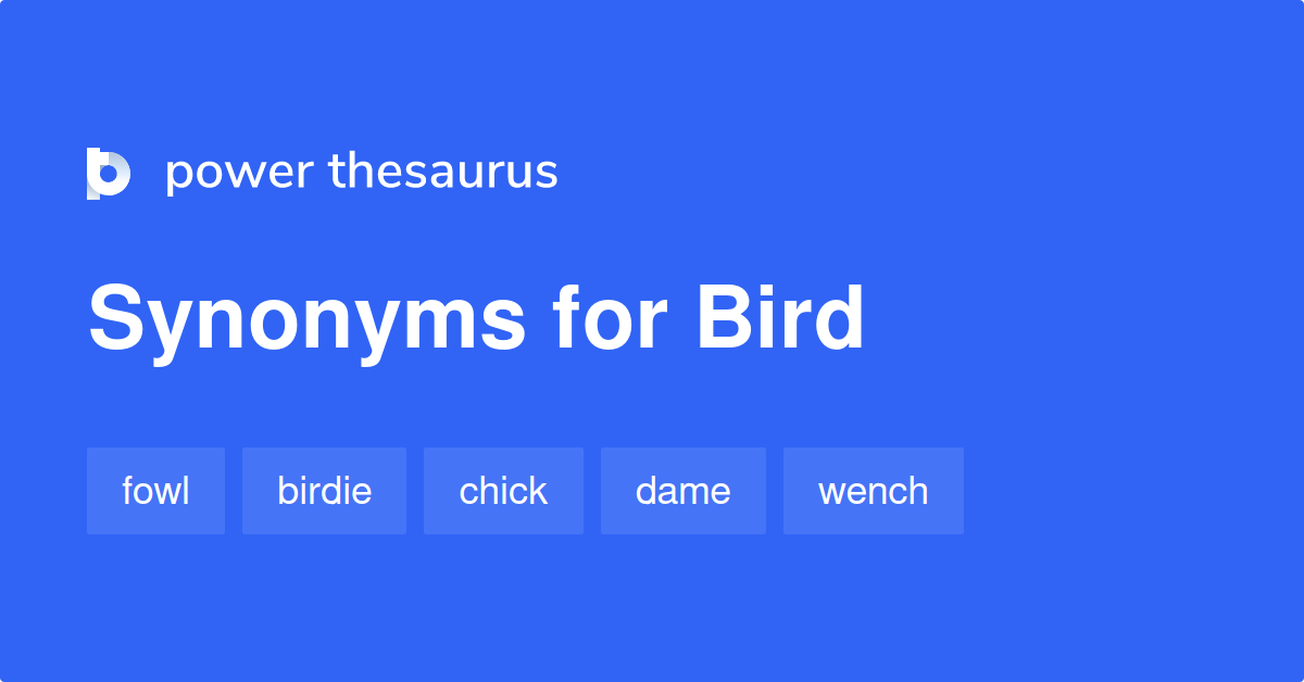 bird-synonyms-1-341-words-and-phrases-for-bird