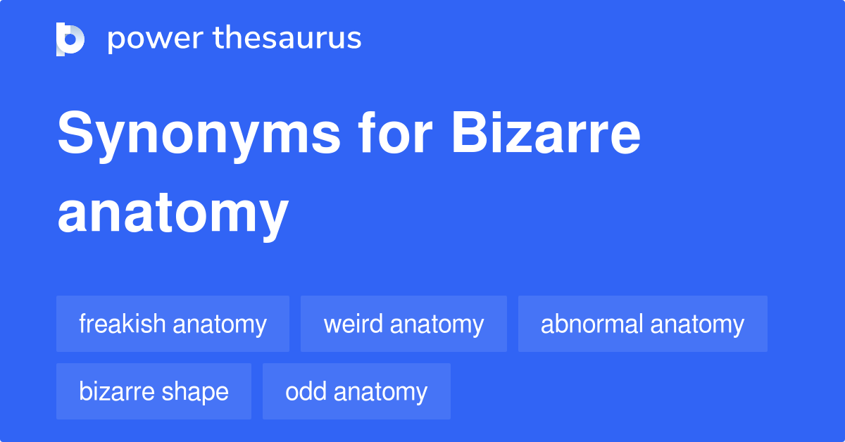 What Are 2 Synonyms For Bizarre