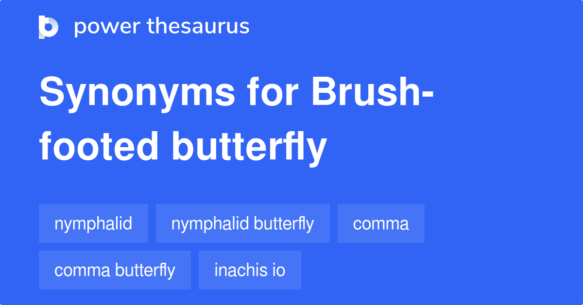 brush-footed-butterfly-synonyms-9-words-and-phrases-for-brush-footed