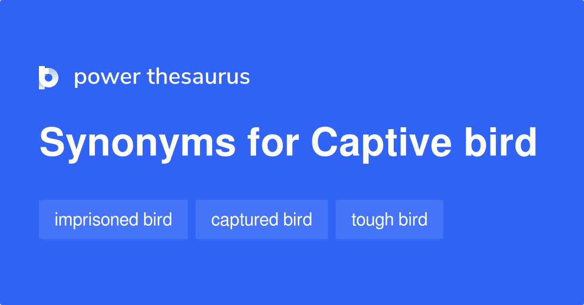 Captive Bird synonyms 9 Words and Phrases for Captive Bird