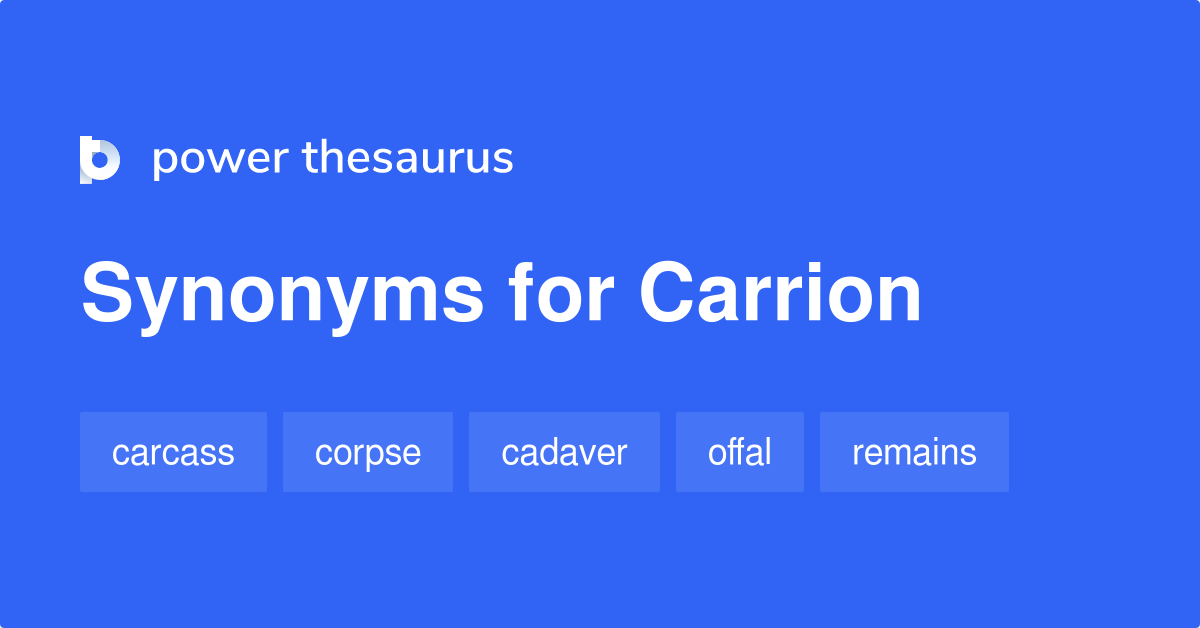 carrion synonym