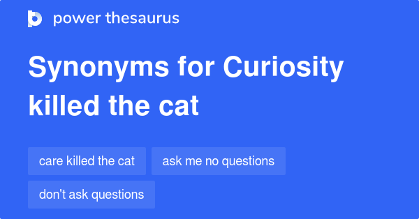 Curiosity Killed The Cat - English Cat Idioms and phrases