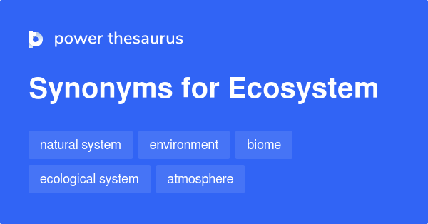 Environmental Science: The Study of Ecosystems