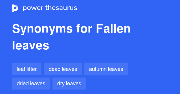 fallen-leaves-synonyms-70-words-and-phrases-for-fallen-leaves