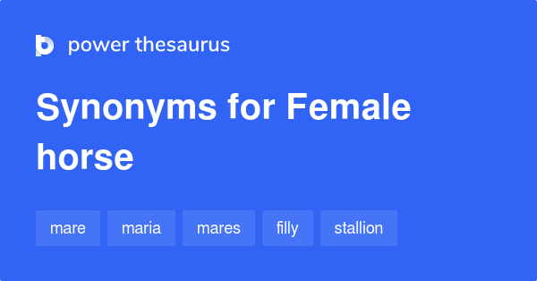 female-horse-synonyms-19-words-and-phrases-for-female-horse