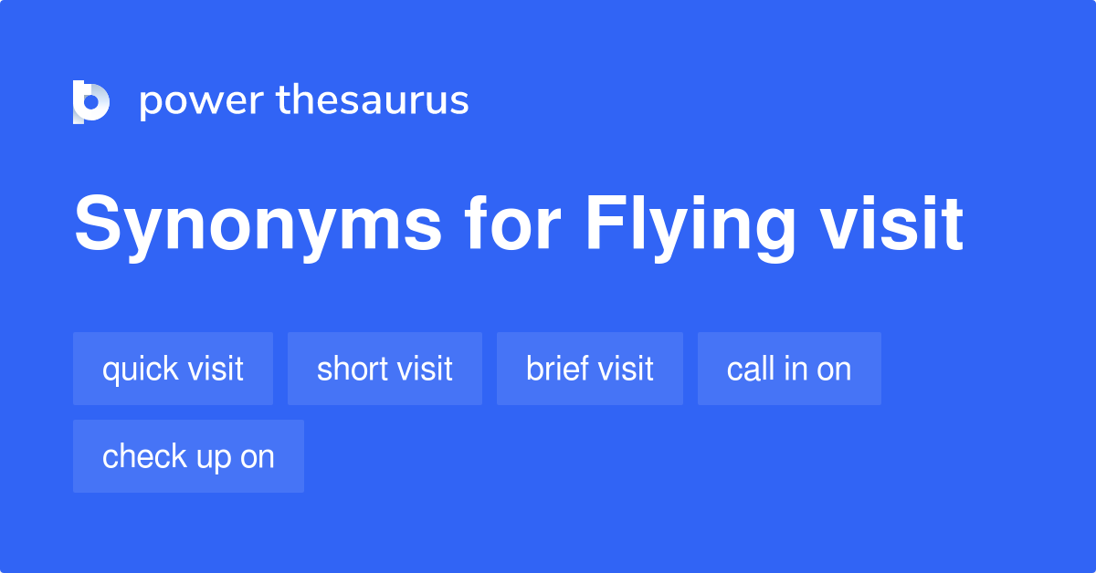 flying visit english meaning