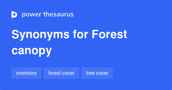 forest-canopy-synonyms-70-words-and-phrases-for-forest-canopy