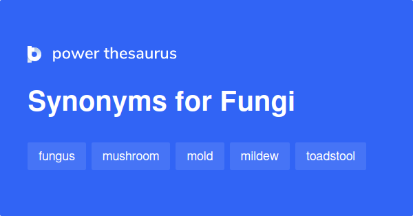 What Are The Synonyms For Fungus