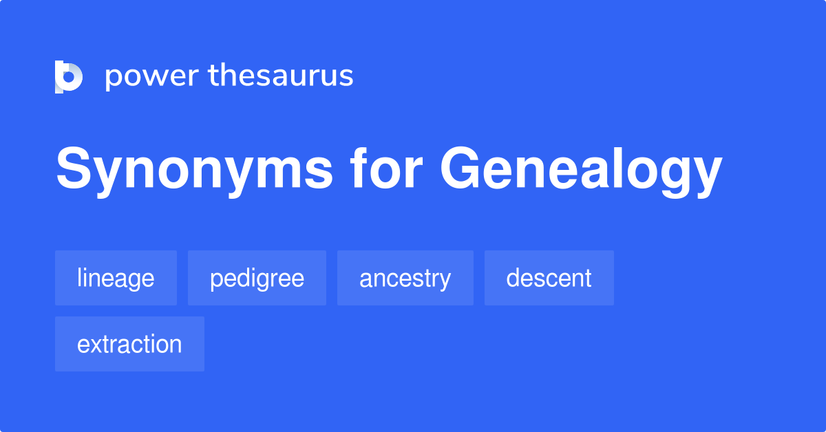Genealogy synonyms - 376 Words and Phrases for Genealogy