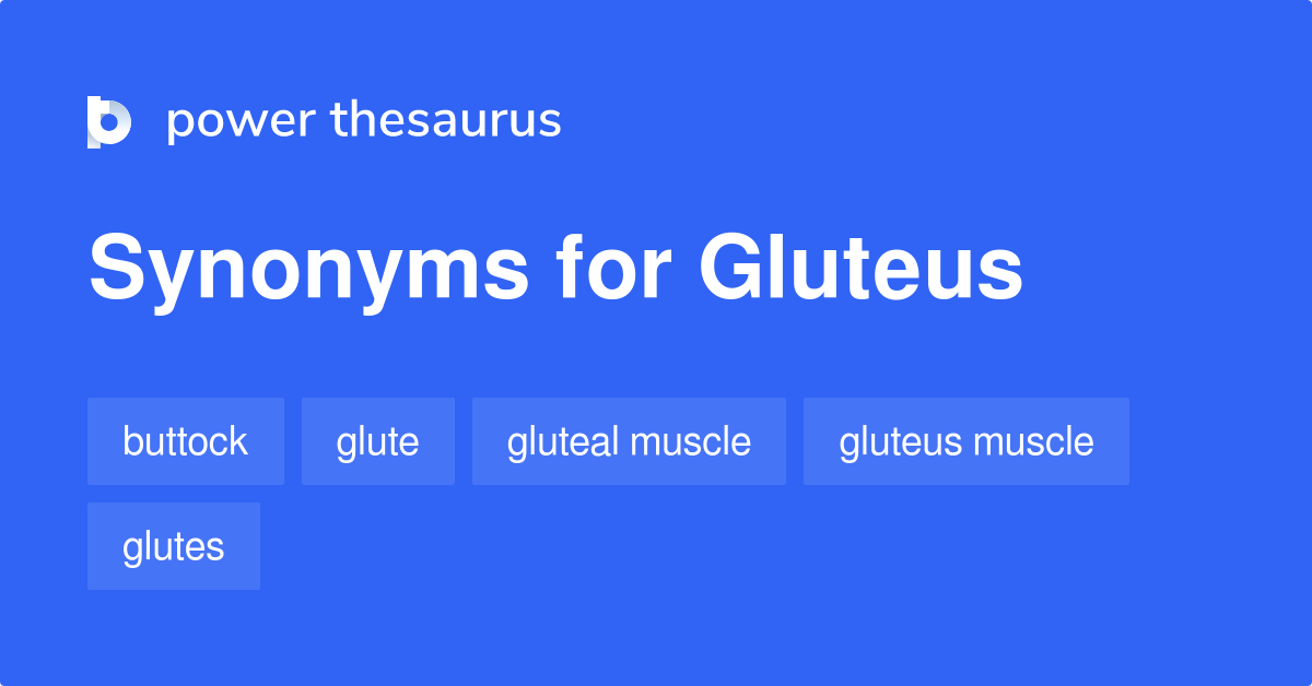 Gluteus synonyms 45 Words and Phrases for Gluteus