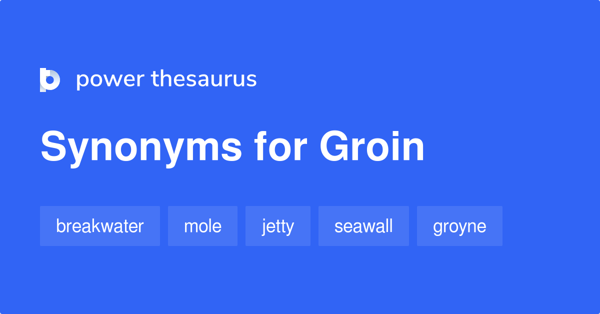 Groin synonyms - 435 Words and Phrases for Groin