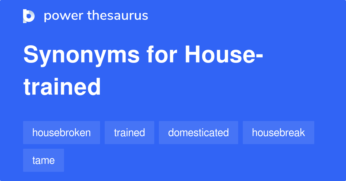 house-trained-synonyms-39-words-and-phrases-for-house-trained