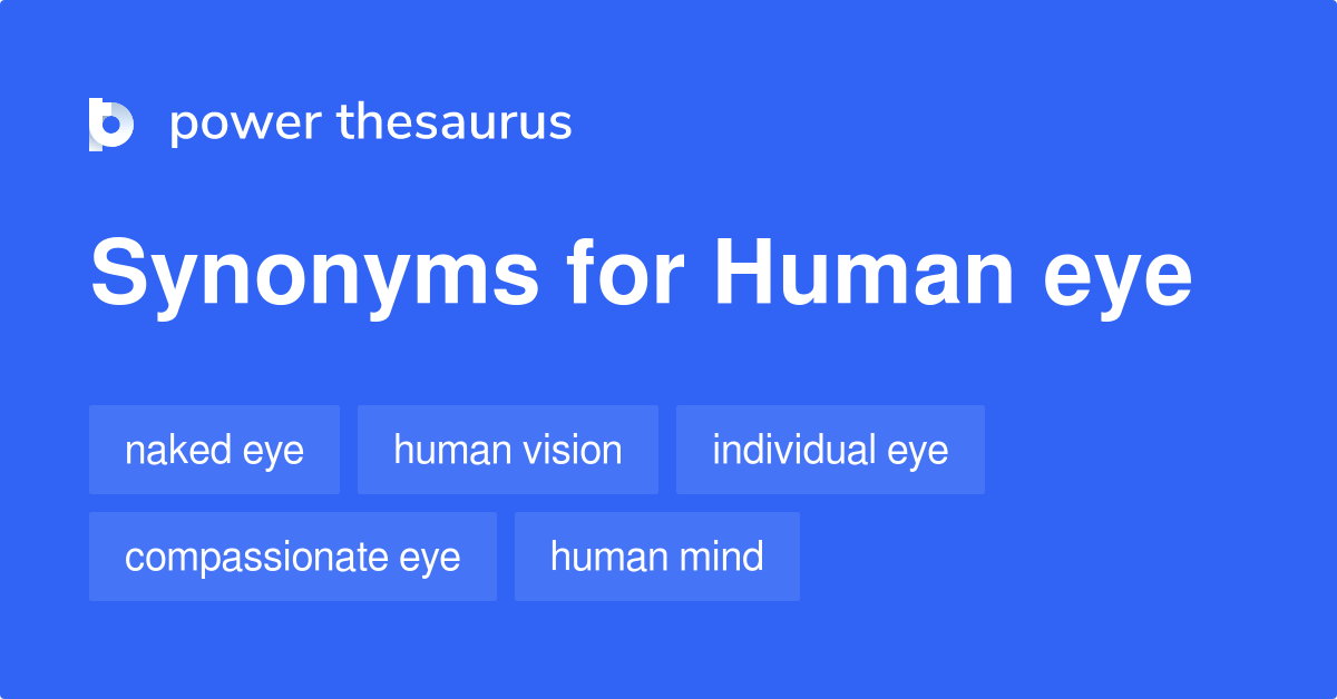 human-eye-synonyms-40-words-and-phrases-for-human-eye