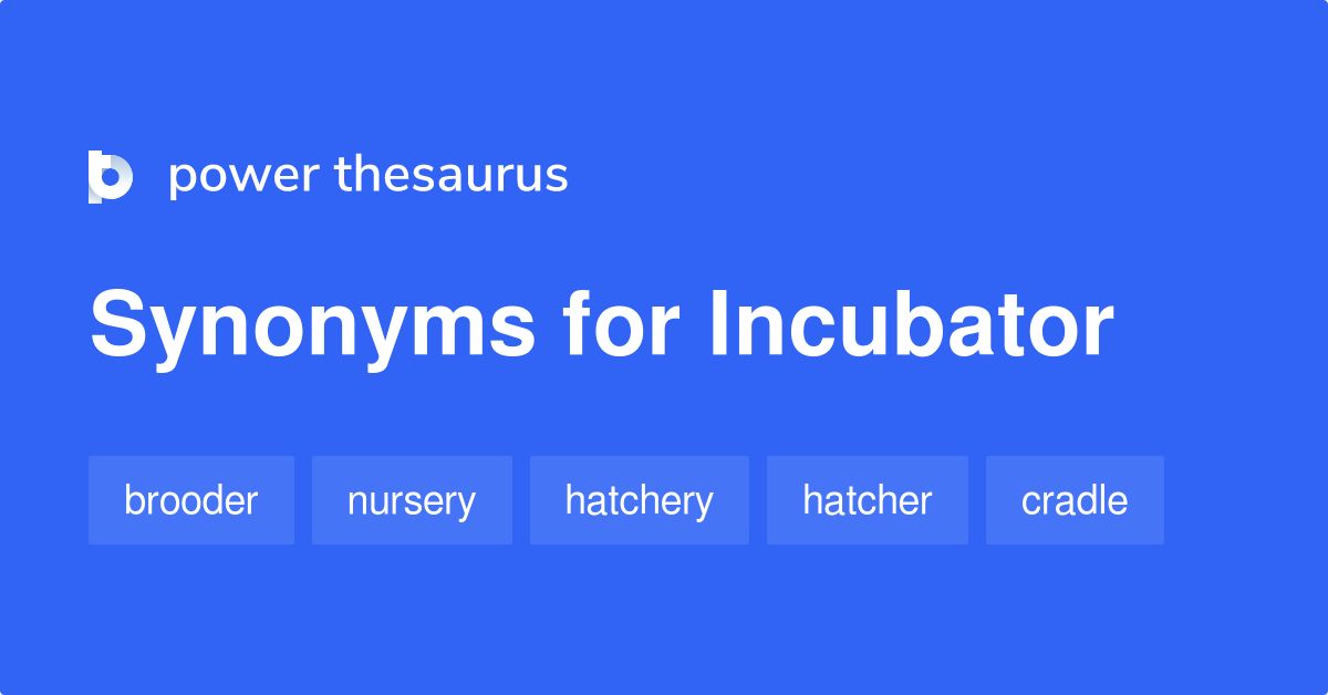 incubator synonym business