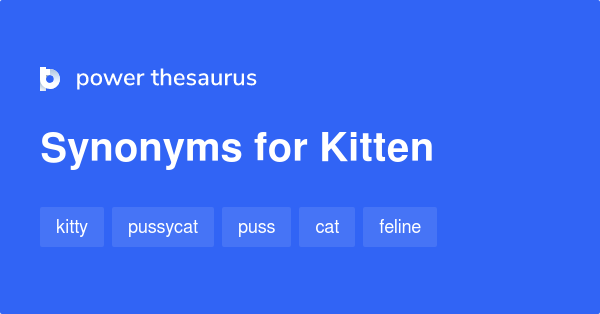 Kitten synonyms - 155 Words and Phrases for Kitten