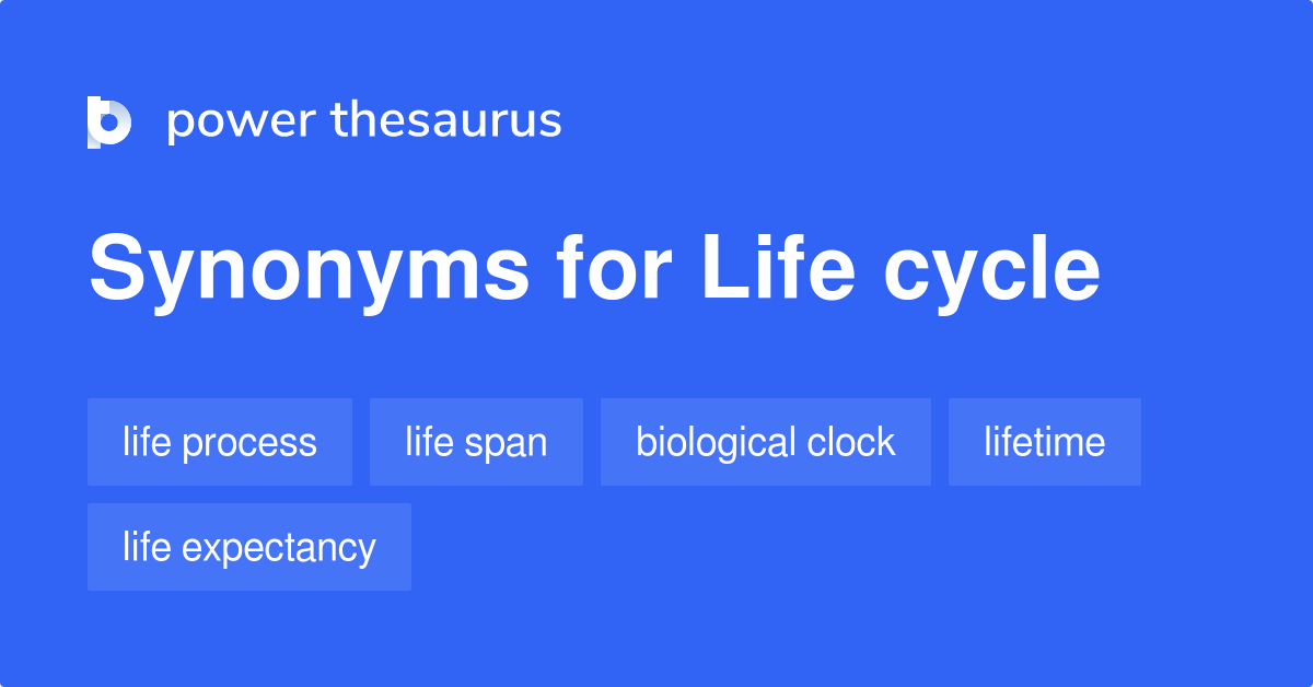 15-synonyms-for-life-cycle-related-to-life