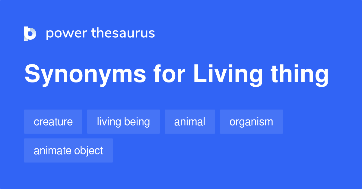 Non Living Thing Synonym