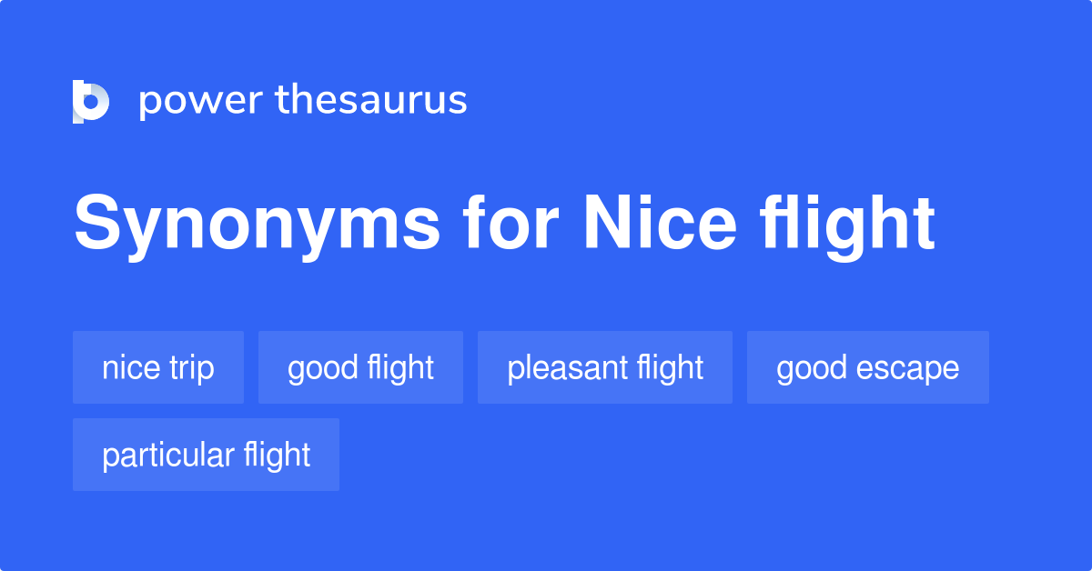 Nice Flight synonyms - 47 Words and Phrases for Nice Flight