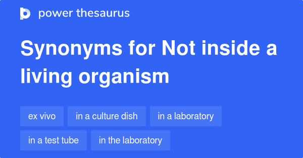 not-living-synonyms-60-words-and-phrases-for-not-living