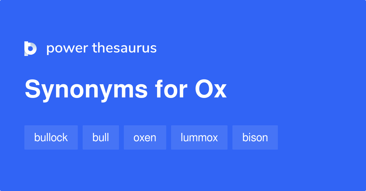 Ox synonyms 348 Words and Phrases for Ox
