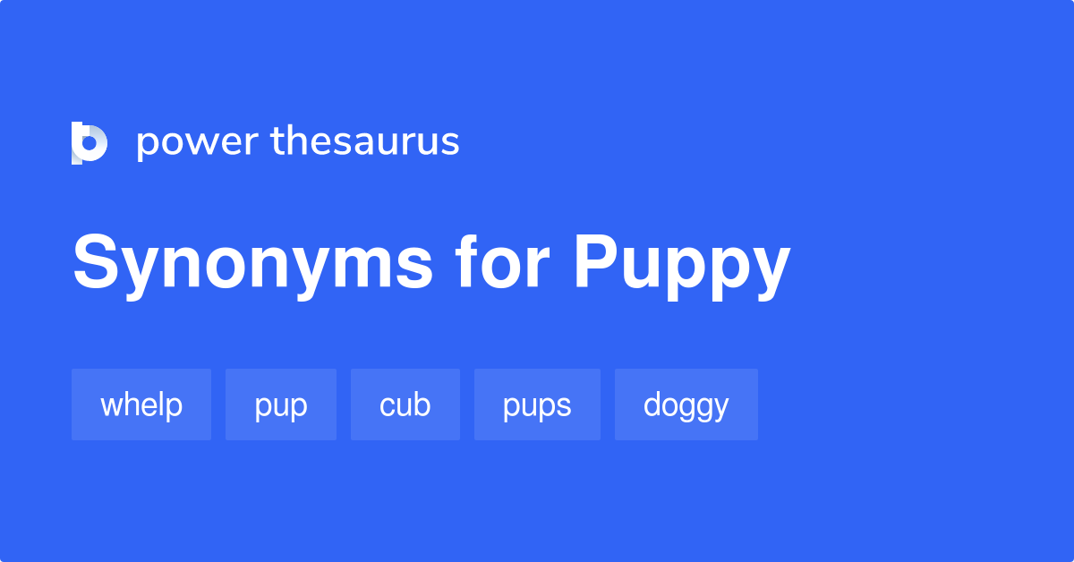 what is another word for puppies