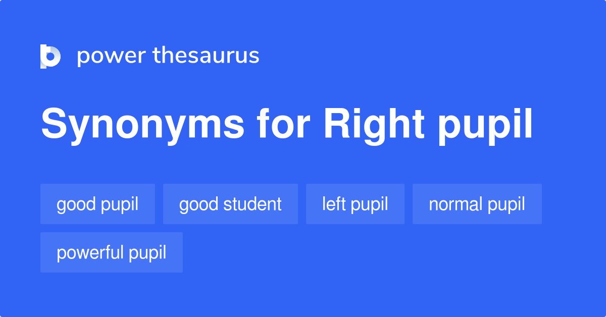 right-pupil-synonyms-11-words-and-phrases-for-right-pupil