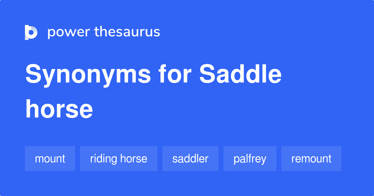 saddle-horse-synonyms-47-words-and-phrases-for-saddle-horse