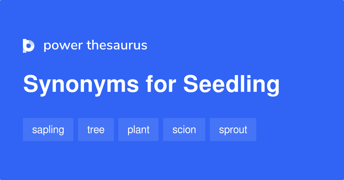 Seedling synonyms 336 Words and Phrases for Seedling