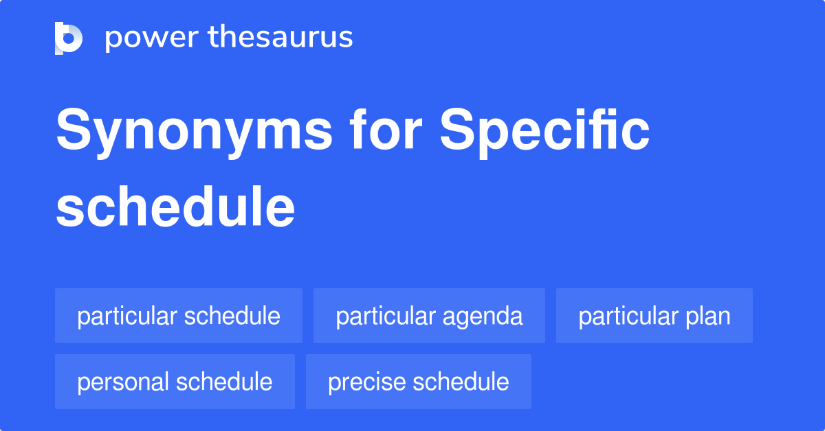 Specific Schedule synonyms 13 Words and Phrases for Specific Schedule