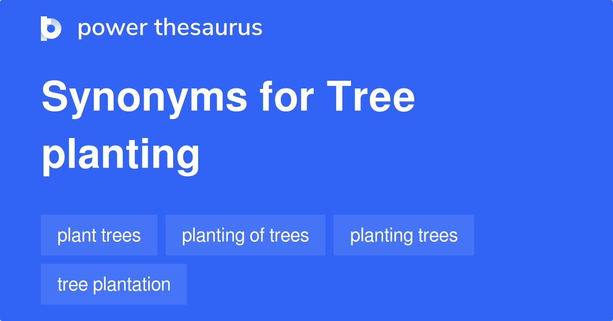 tree-planting-synonyms-93-words-and-phrases-for-tree-planting