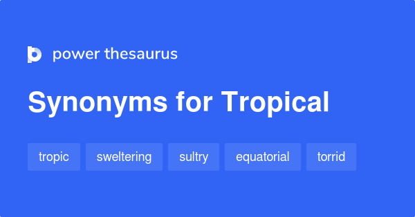 Synonym Challenge Tropical Summer Themed Adult Similar Word 