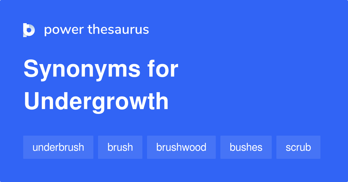 undergrowth-synonyms-339-words-and-phrases-for-undergrowth