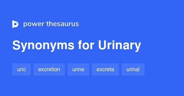 Urinary Synonyms 103 Words And Phrases For Urinary
