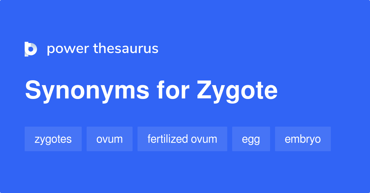 zygote-synonyms-166-words-and-phrases-for-zygote